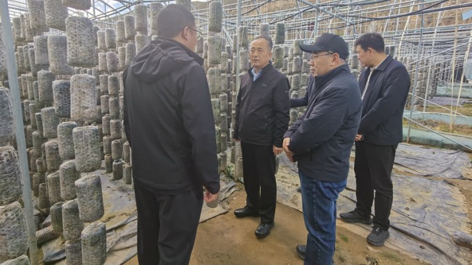 甘肅工程咨詢(xún)集團(tuán)赴卓尼縣開(kāi)展鄉(xiāng)村振興幫扶調(diào)研暨結(jié)對(duì)關(guān)愛(ài)工作